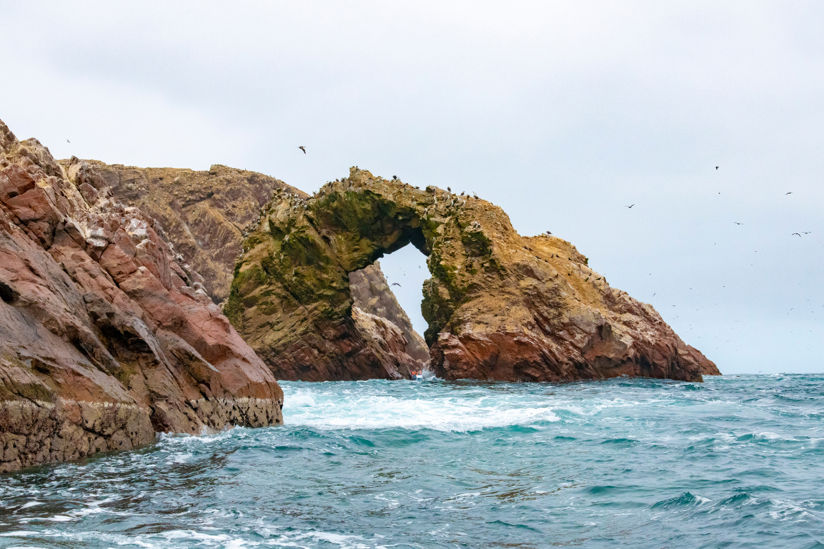 Ica y Paracas 4 Noches <br> Octubre 2025