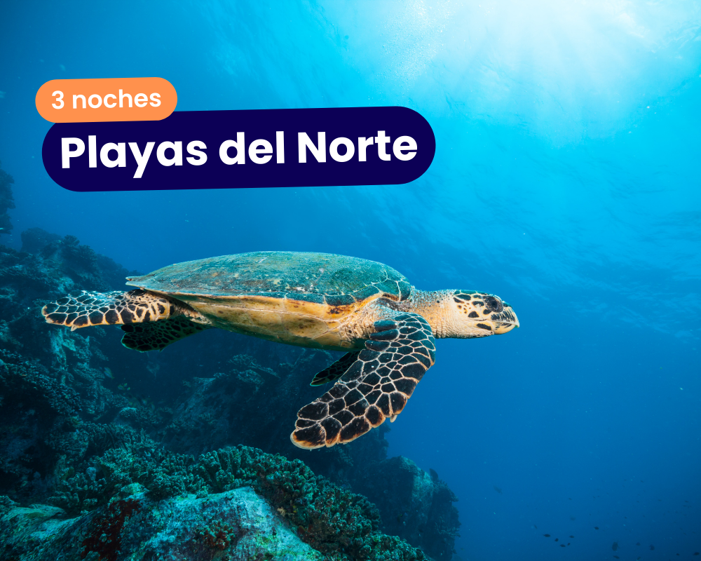 Playas del Norte 3 Noches